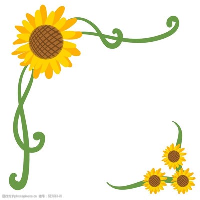 葵花边框图片素材