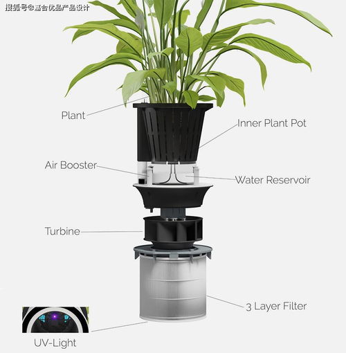结合了美国航天局的灵感和花盆家居装饰的净化器产品设计